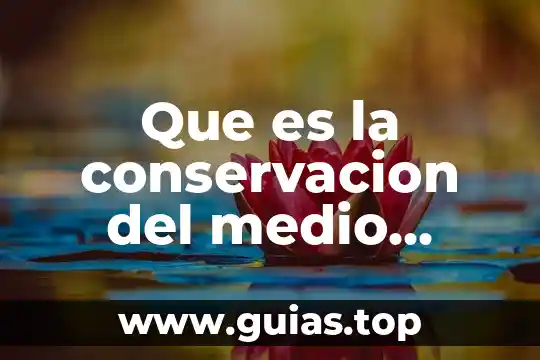 Que es un ser vivo menciona sus características 3 Que es la conservacion del medio ambiente para niños