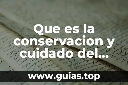 Cuidado del agua triptico que es 3 Que es la conservacion y cuidado del ambiente