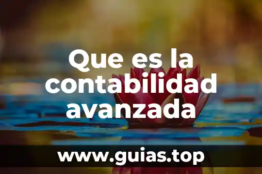 Que es nivel en contabilidad 5 Que es la contabilidad avanzada
