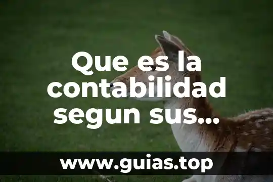 Que es una fuente de financiamiento definición de autores 3 Que es la contabilidad segun sus autores