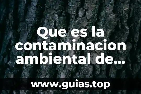 Qué es contaminación acústica en física 3 Que es la contaminacion ambiental de radioactiva