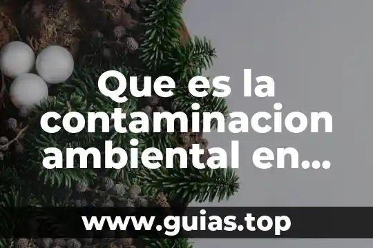 Present progressive que es en inglés structure 5 Que es la contaminacion ambiental en ingles y español