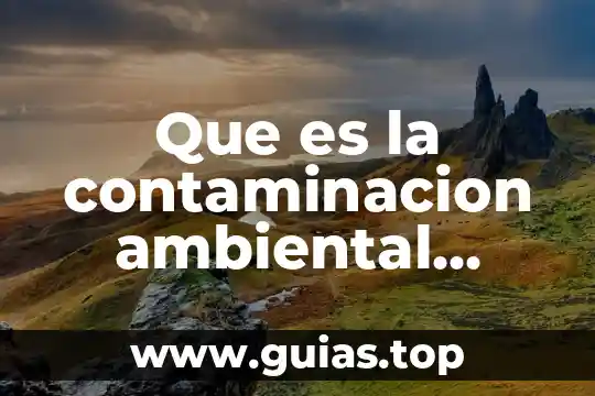 Que es el mapa conceptual ejemplos y caracteristicas 5 Que es la contaminacion ambiental mapa conceptual