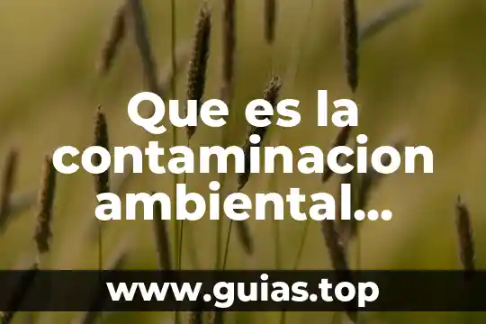 Que es la contaminacion del agua hipotesis 8 Que es la contaminacion ambiental national geographic kids