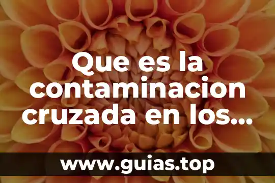Que es la contaminacion del agua hipotesis 4 Que es la contaminacion cruzada en los alimentos