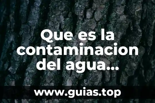 Que es la contaminacion del suelo agua y aire 5 Que es la contaminacion del agua hipotesis