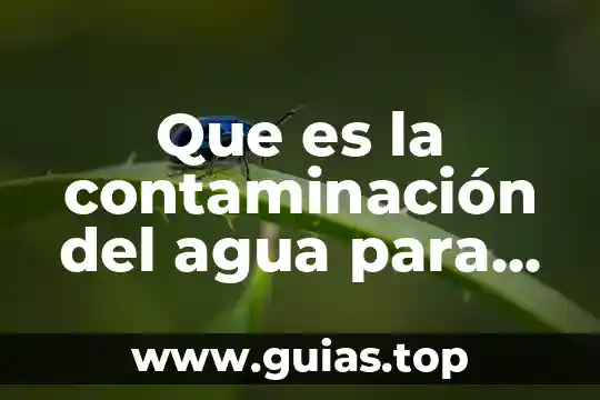 Qué es un emprendedor administrativo 4 Que es la contaminación del agua para niños