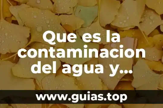 Que es agua pura definicion 8 Que es la contaminacion del agua y como se origina