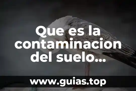 La contaminación del agua problematica social que es 8 Que es la contaminacion del suelo causas y efectos