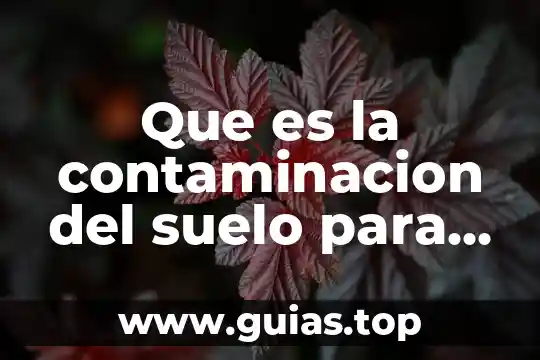 Que es la contaminacion ambiental de radioactiva 6 Que es la contaminacion del suelo para primaria
