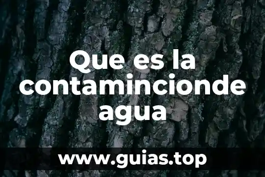 Que es subdirección de información 4 Que es la contamincionde agua