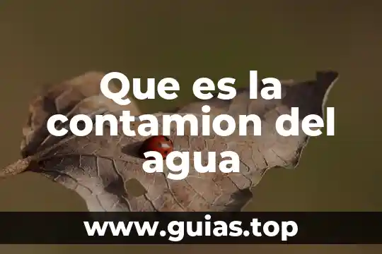Que es agua de cloro 6 Que es la contamion del agua
