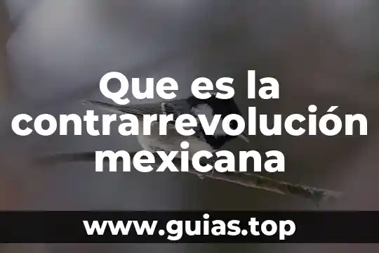 Que es la ley ambiental mexicana 5 Que es la contrarrevolución mexicana