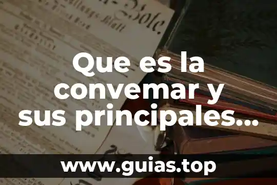 Que es el foro social mundial principales objetivos 3 Que es la convemar y sus principales funciones