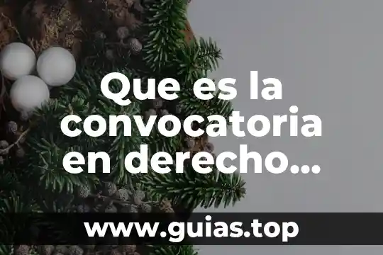 Que es un contrato mercantil concepto 6 Que es la convocatoria en derecho mercantil