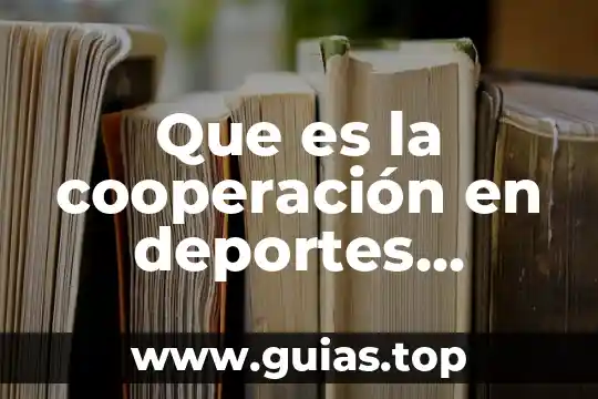 Que es cooperacion de los juegos 3 Que es la cooperaci贸n en deportes alternativos definicion