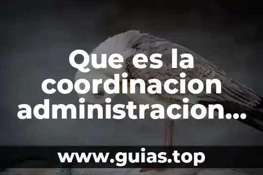 Qué es un problema definición por autores reconocidos 6 Que es la coordinacion administracion de autores reconocidos