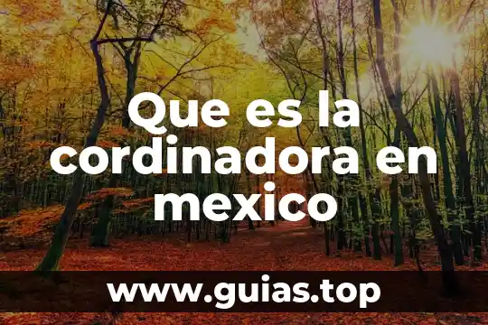Que es mexico concepto 7 Que es la cordinadora en mexico