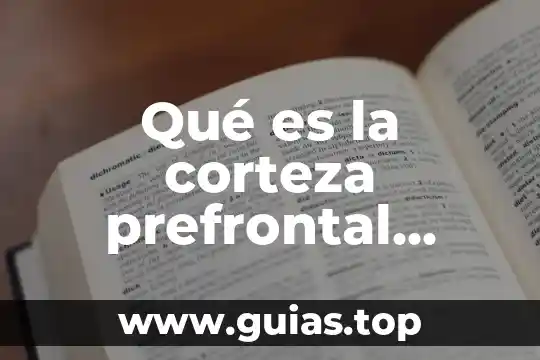 ¿Qué es Media Center Tunder TV? 6 Qué es la corteza prefrontal media