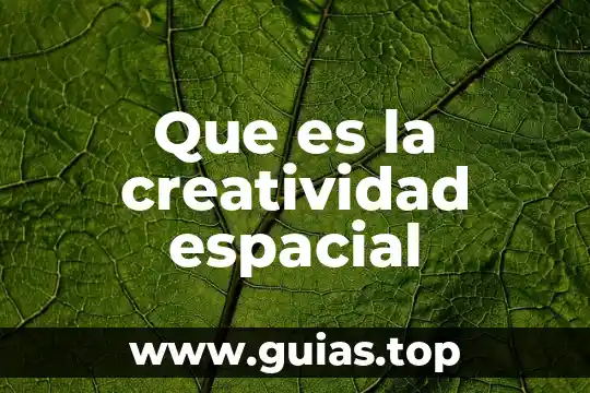 Que es creatividad y tipos de creatividad 3 Que es la creatividad espacial