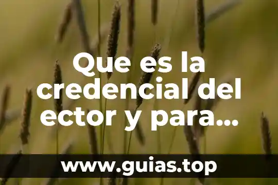 Qué es la búsqueda fonética para qué sirve 4 Que es la credencial del ector y para que sirve