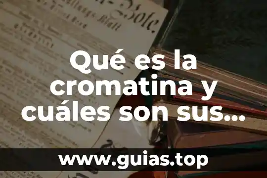 Que es motivacion y cuales son sus tipos 4 Qué es la cromatina y cuáles son sus tipos
