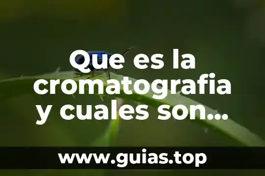Que es la memoria cuales son sus tipos 4 Que es la cromatografia y cuales son sus funciones basicas