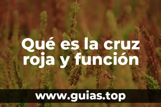 Que es el codigo cruz badiano 3 Qué es la cruz roja y función