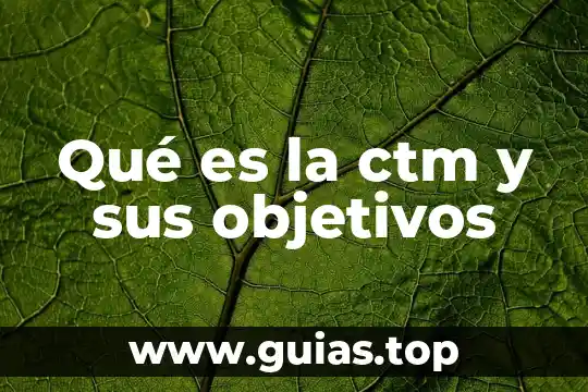 Que es objetivos o propósitos de una tesis 6 Qué es la ctm y sus objetivos