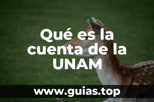 Que es genotipo unam 3 Qué es la cuenta de la UNAM