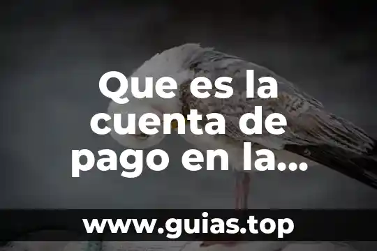 Que es el pago de gt 4 Que es la cuenta de pago en la factura movil
