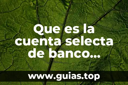 Que es la plaza en una cuenta de banco 3 Que es la cuenta selecta de banco azteca