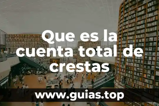 Que es un fondo de soporte para una cuenta 6 Que es la cuenta total de crestas