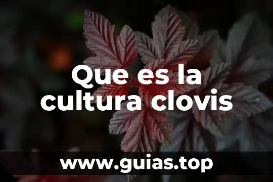 Que es la cultura y la adaptacion 7 Que es la cultura clovis
