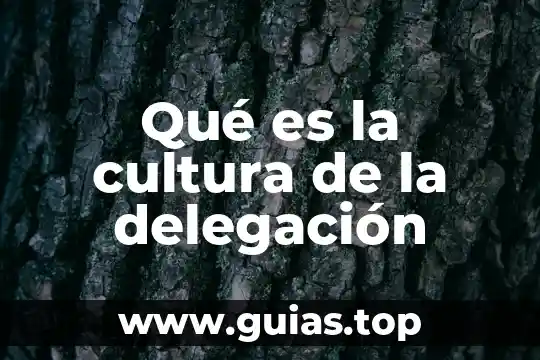 Que es el proceso de de delegación 4 Qué es la cultura de la delegación