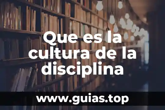 Yokoi kenji la disciplina que es un principio 3 Que es la cultura de la disciplina