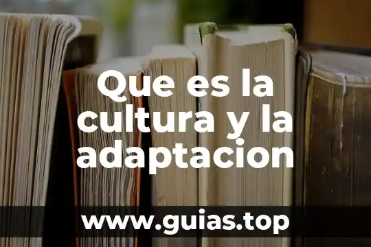 Que es una cultura democratica 6 Que es la cultura y la adaptacion