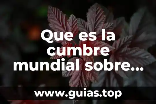 Qué es un código de desarrollo sustentable 8 Que es la cumbre mundial sobre el desarrollo sustentable
