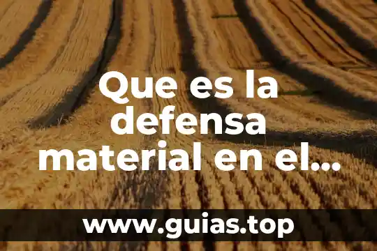 Que es la ley de defensa de la competencia 6 Que es la defensa material en el proceso penal