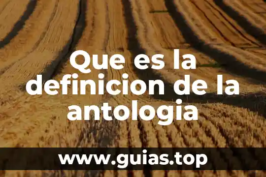 Que es una antologia concepto filosofico 3 Que es la definicion de la antologia