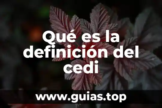 Definición que es la valentia 3 Qué es la definición del cedi