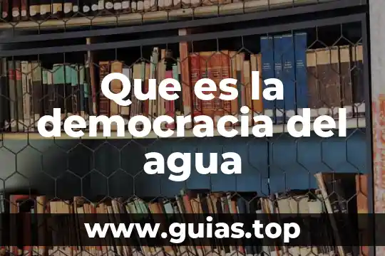 Que es soñar con mucha gente y agua 6 Que es la democracia del agua