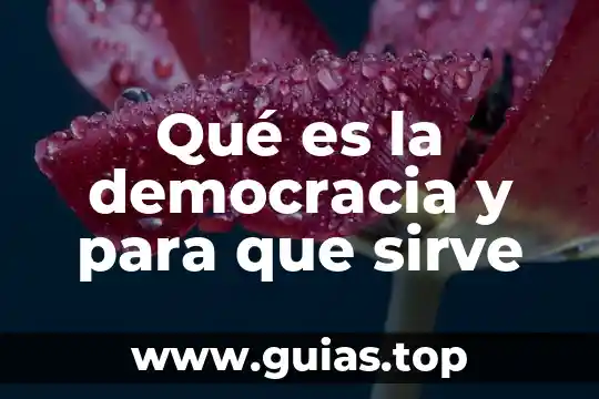 Que es y para que sirve el alfabeto griego 3 Qué es la democracia y para que sirve