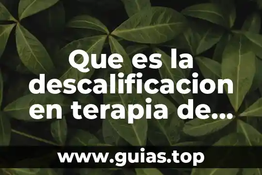 Qué es la familia lógica TTL 7 Que es la descalificacion en terapia de familia