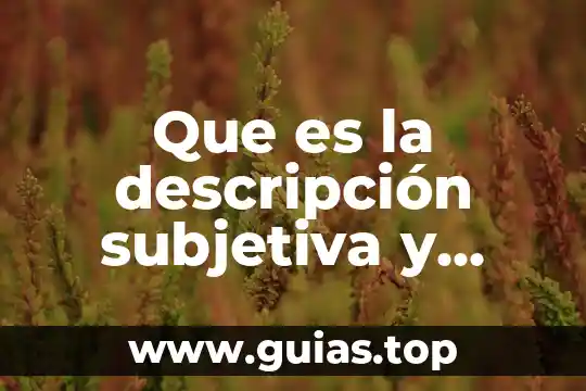 Que es la razon objetiva 7 Que es la descripción subjetiva y objetiva