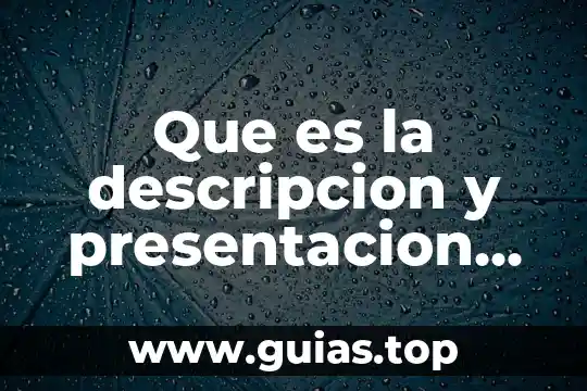 Que es descripción de actividades 5 Que es la descripcion y presentacion de datos