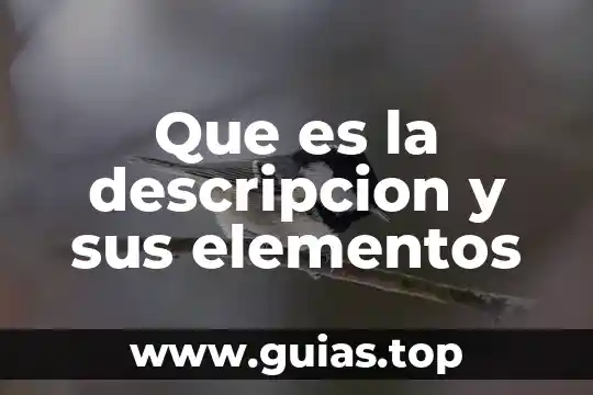 Qué es la descripción de la teoría 7 Que es la descripcion y sus elementos