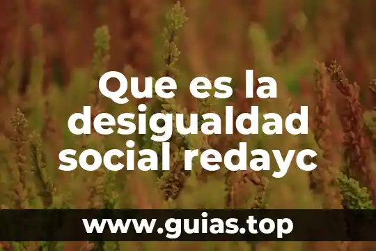 Terminal value que es 8 Que es la desigualdad social redayc