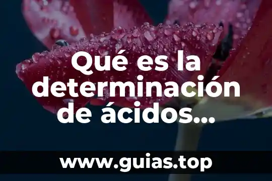 Qué es la función de los ácidos nucleicos 6 Qué es la determinación de ácidos titulables