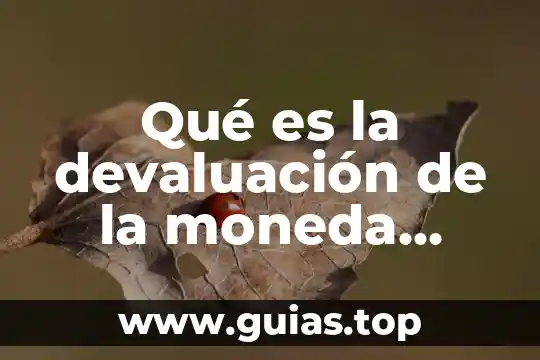 Que es ser teniente militar 3 Qué es la devaluación de la moneda mexicana